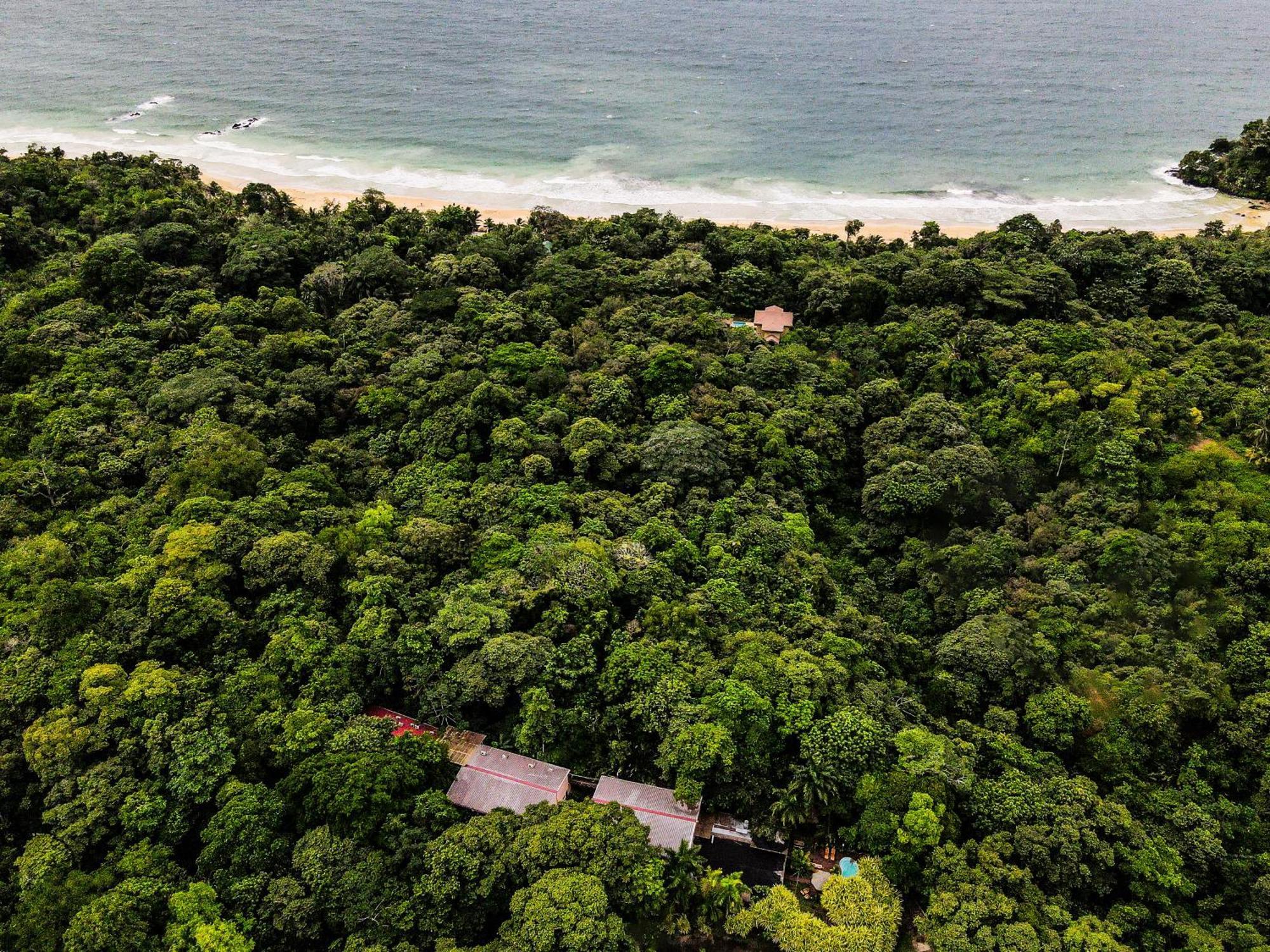 Socialtel Red Frog Hotel Bocas del Toro Exterior photo